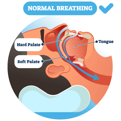 normal breathing during sleep